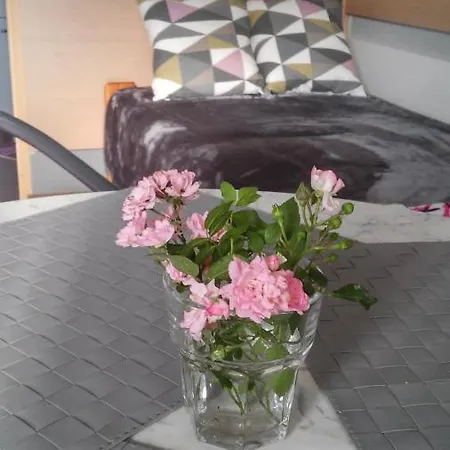 Accommodatie bij particulieren Zacisze